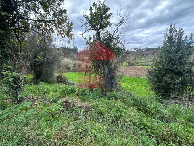 Quinta T5 para Venda em Valdreu Foto 45