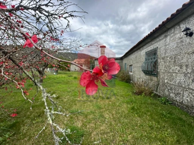 Quinta T5 para Venda em Valdreu Foto 103