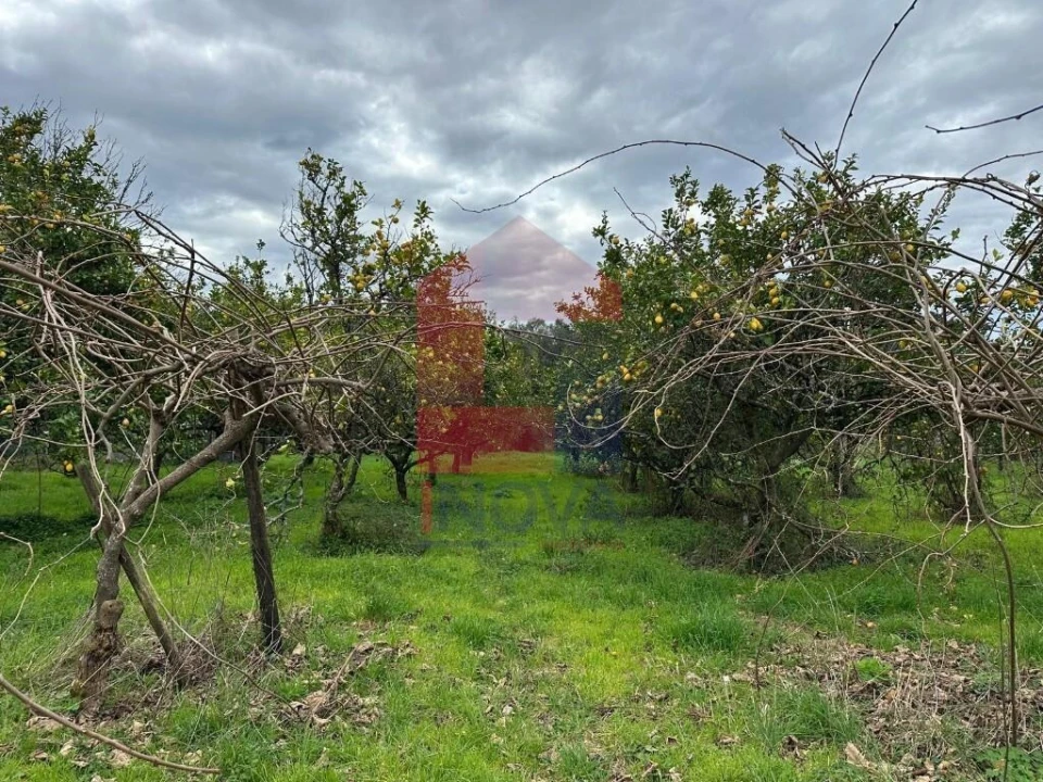 Quinta T5 para Venda em Valdreu Foto 40