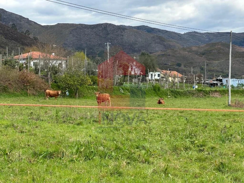 Quinta T5 para Venda em Valdreu Foto 39