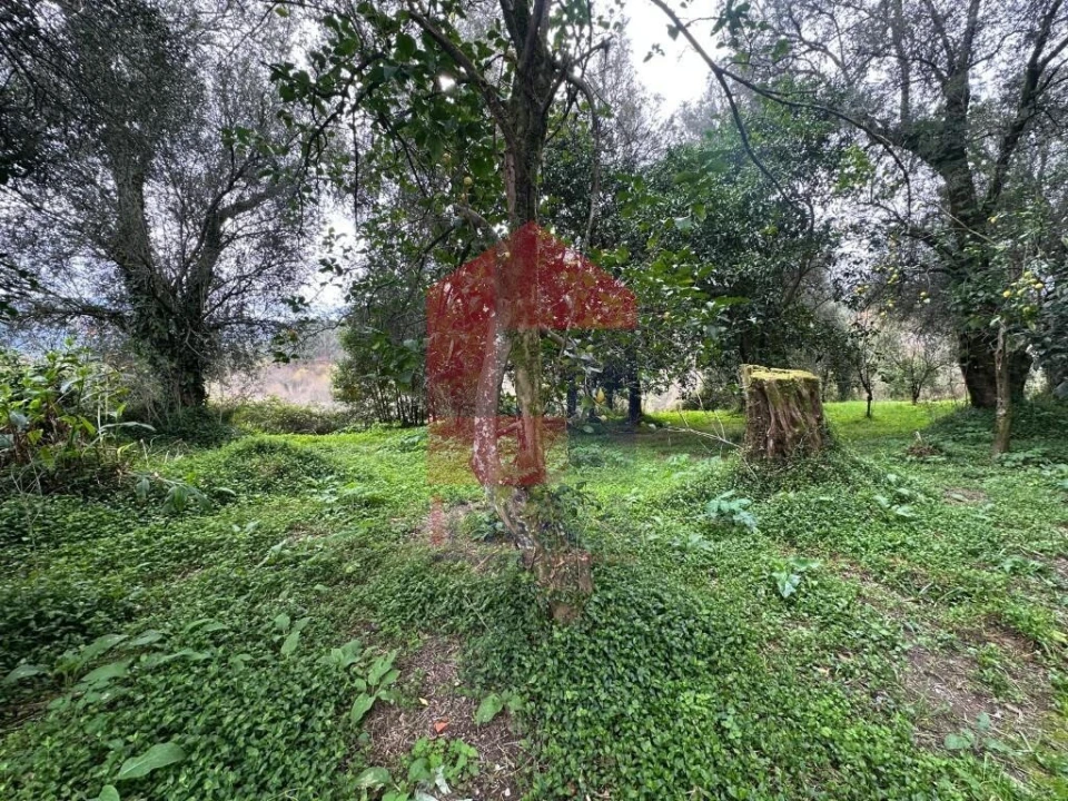 Quinta T5 para Venda em Valdreu Foto 48