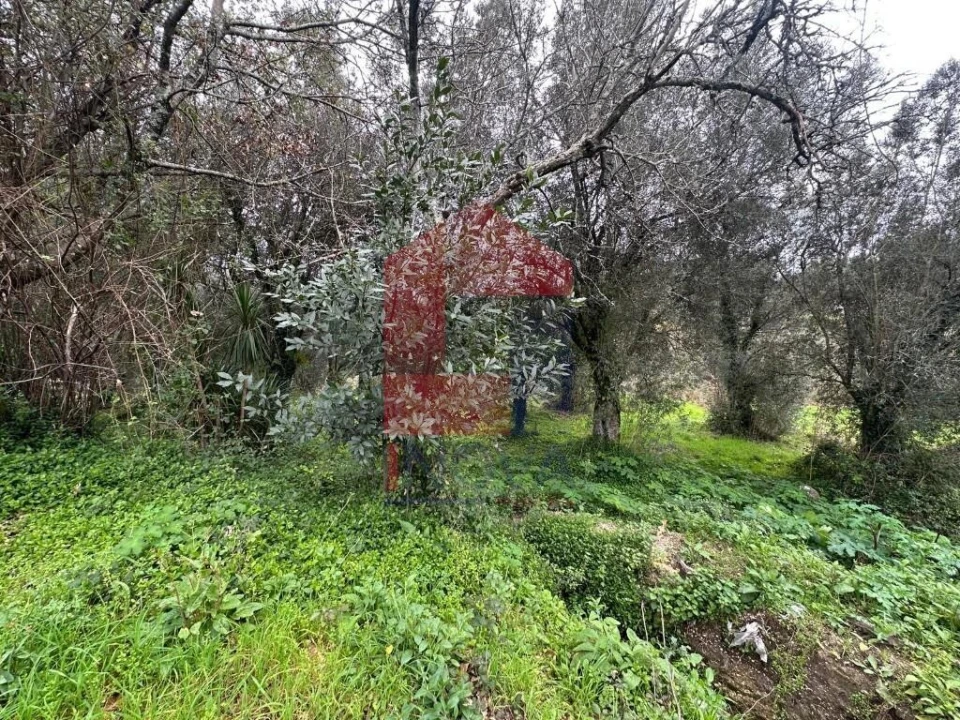 Quinta T5 para Venda em Valdreu Foto 43