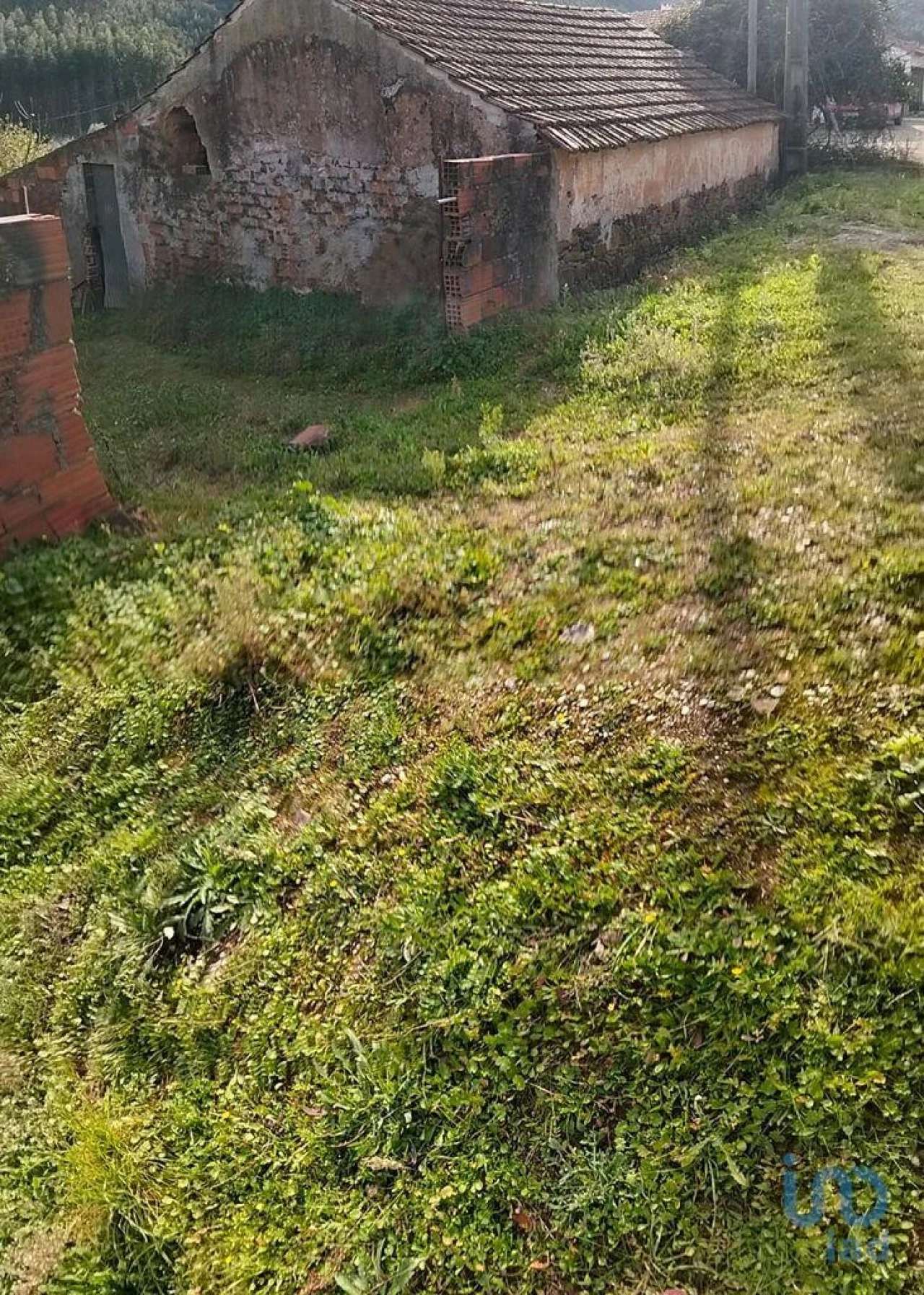 Terreno para Venda em Alcobertas Foto 11