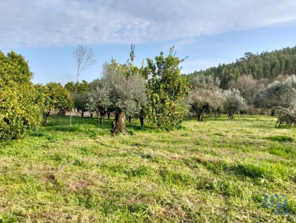 Terreno para Venda em Alcobertas Foto 14