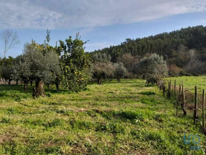 Terreno para Venda em Alcobertas Foto 15