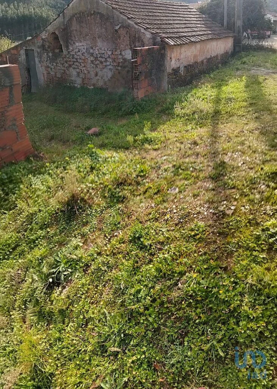 Terreno para Venda em Alcobertas Foto 11