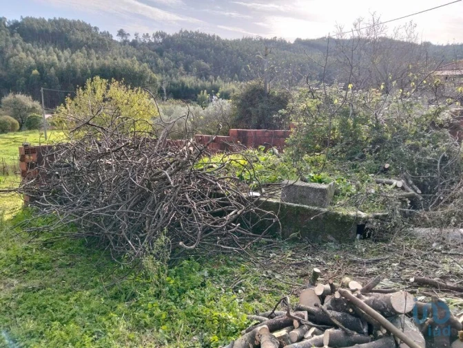 Terreno para Venda em Alcobertas Foto 8