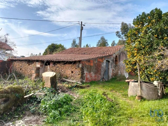 Terreno para Venda em Alcobertas Foto 7