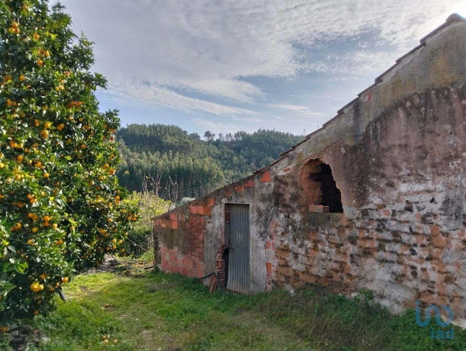 Terreno para Venda em Alcobertas Foto 4