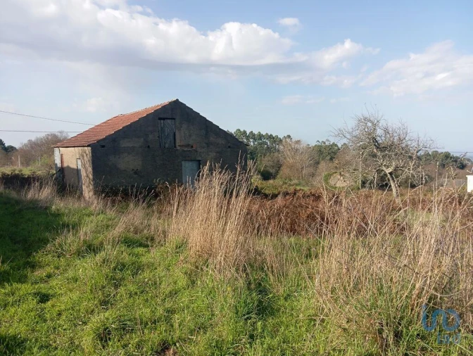 Moradia T3 para Venda em Vila Nova Foto 6