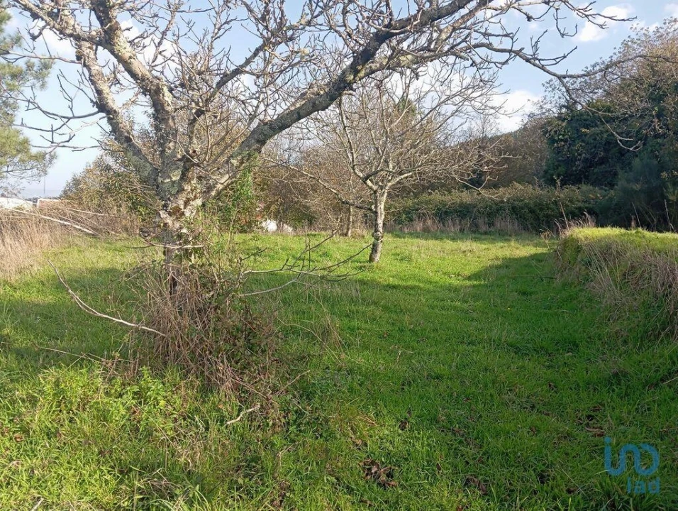 Moradia T3 para Venda em Vila Nova Foto 8