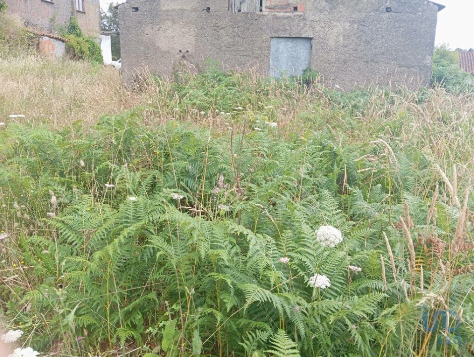 Moradia T3 para Venda em Vila Nova Foto 10