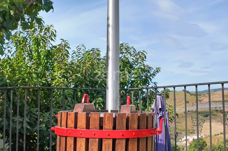 Quinta T5 para Venda em Vilarinho dos Freires Foto 4