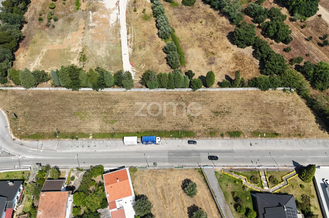 Terreno para Venda em Mealhada, Ventosa do Bairro e Antes Foto 11