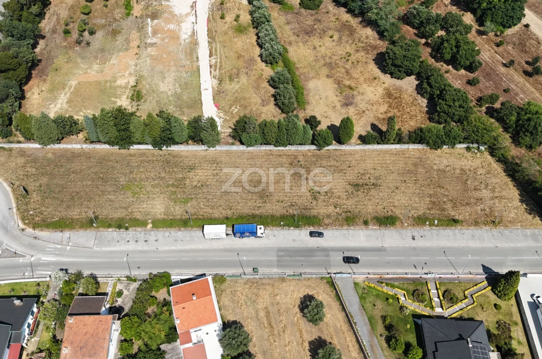 Terreno para Venda em Mealhada, Ventosa do Bairro e Antes Foto 11