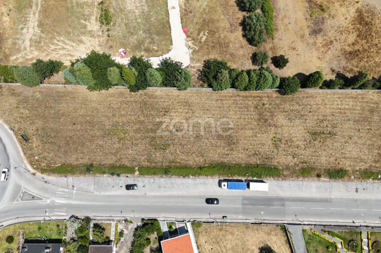 Terreno para Venda em Mealhada, Ventosa do Bairro e Antes