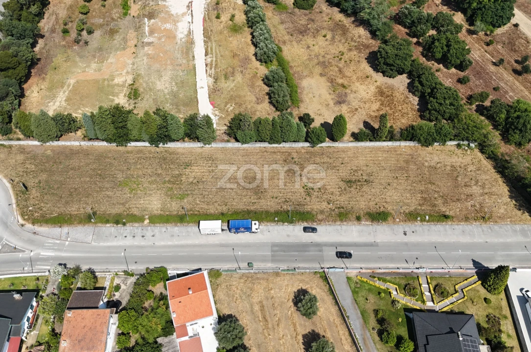 Terreno para Venda em Mealhada, Ventosa do Bairro e Antes Foto 19