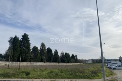 Terreno para Venda em Mealhada, Ventosa do Bairro e Antes