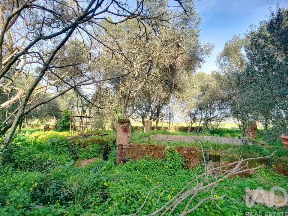 Moradia T3 para Venda em São Bartolomeu de Messines Foto 26