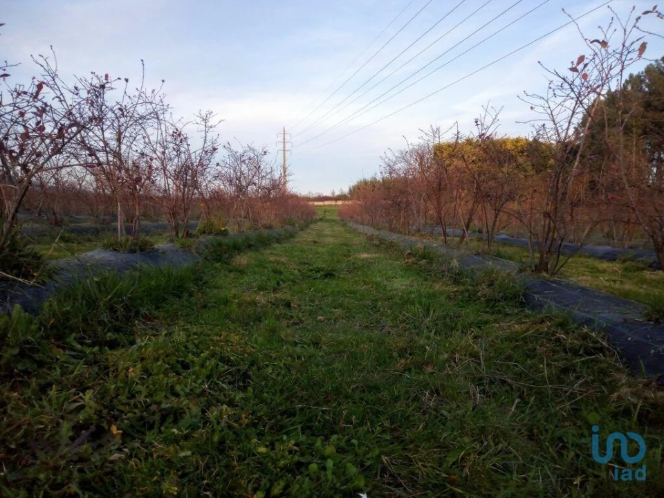 Terreno para Venda em Orjais Foto 12