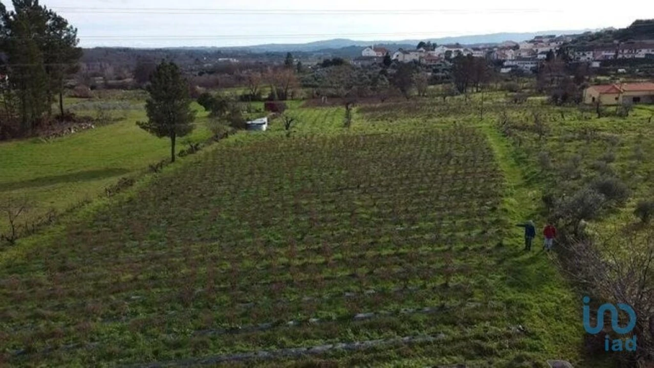 Terreno para Venda em Orjais Foto 2