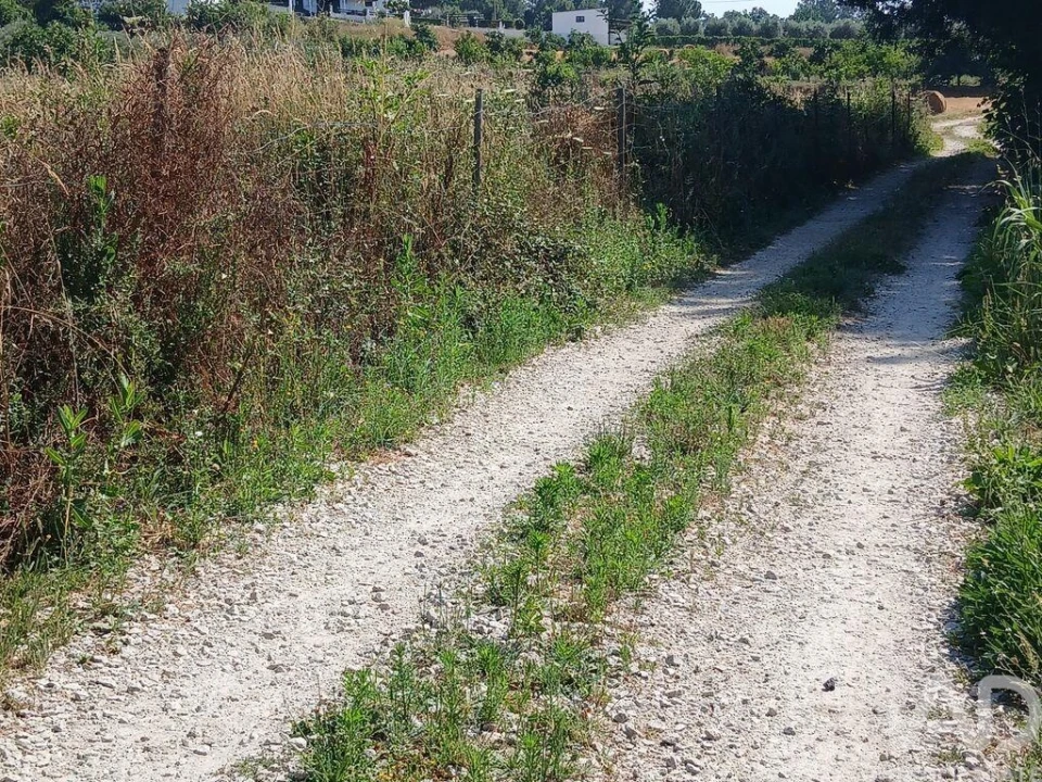 Terreno para Venda em Orjais Foto 20