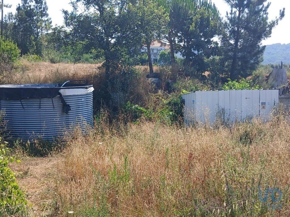 Terreno para Venda em Orjais Foto 10