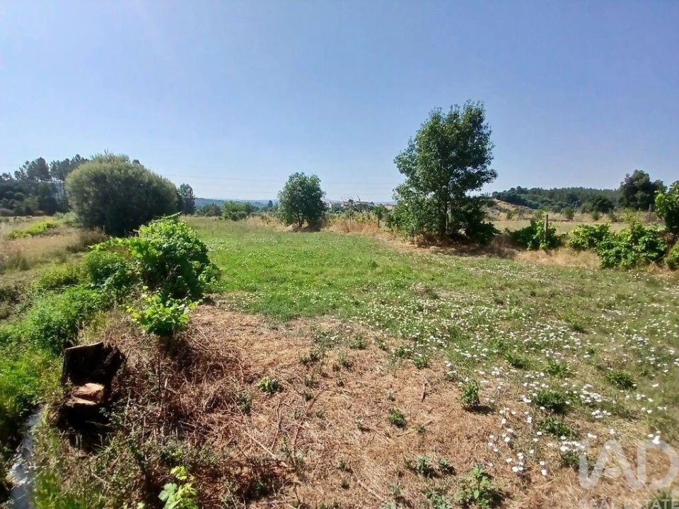Terreno para Venda em Orjais Foto 18