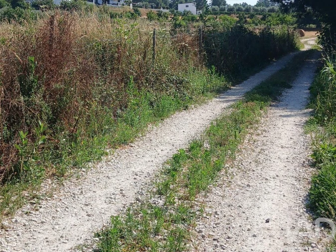 Terreno para Venda em Orjais Foto 20