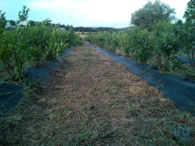 Terreno para Venda em Orjais Foto 9
