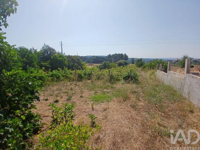 Terreno para Venda em Orjais Foto 17