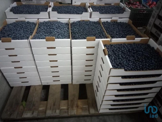 Terreno para Venda em Orjais Foto 14