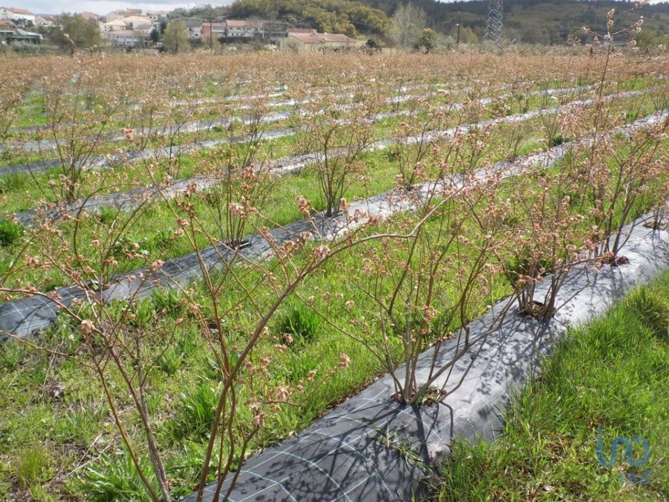 Terreno para Venda em Orjais Foto 1