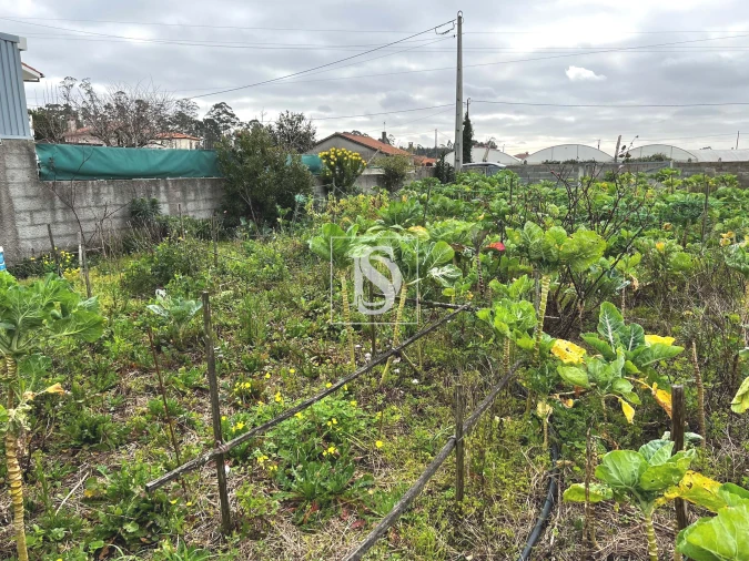 Terreno para Venda em Esposende, Marinhas e Gandra