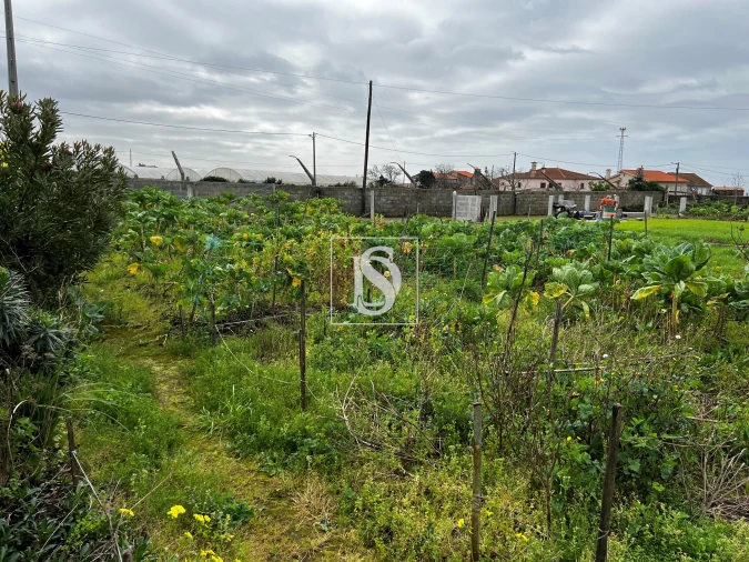 Terreno para Venda em Esposende, Marinhas e Gandra Foto 7