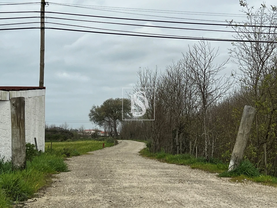 Terreno para Venda em Esposende, Marinhas e Gandra Foto 9
