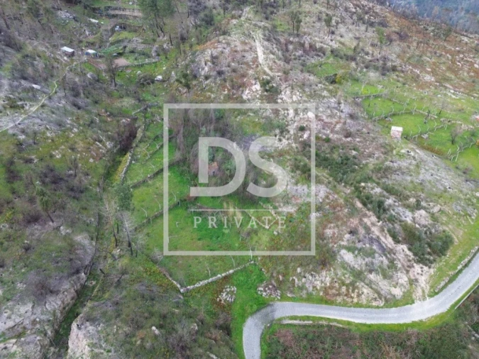 Terreno Agricola ou Rústico para Venda em Ancede e Ribadouro Foto 2