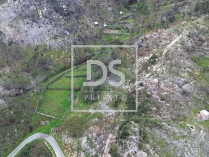 Terreno Agricola ou Rústico para Venda em Ancede e Ribadouro Foto 4