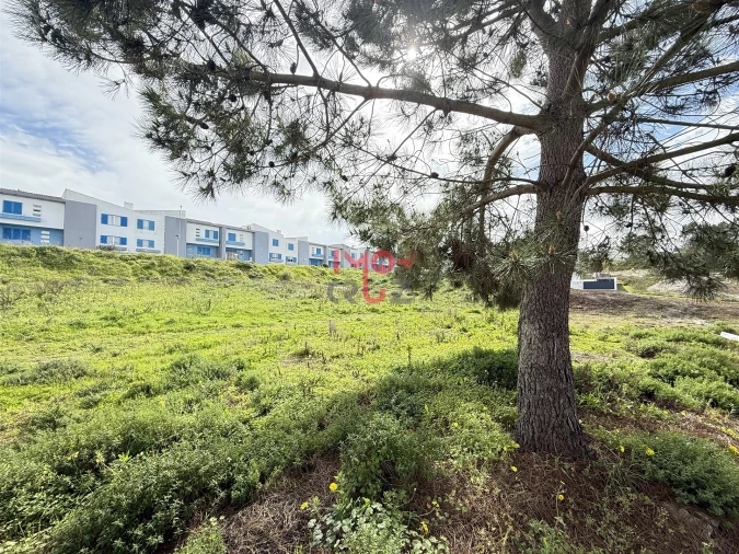 Terreno para Venda em Santa Maria, São Pedro e Matacães Foto 7