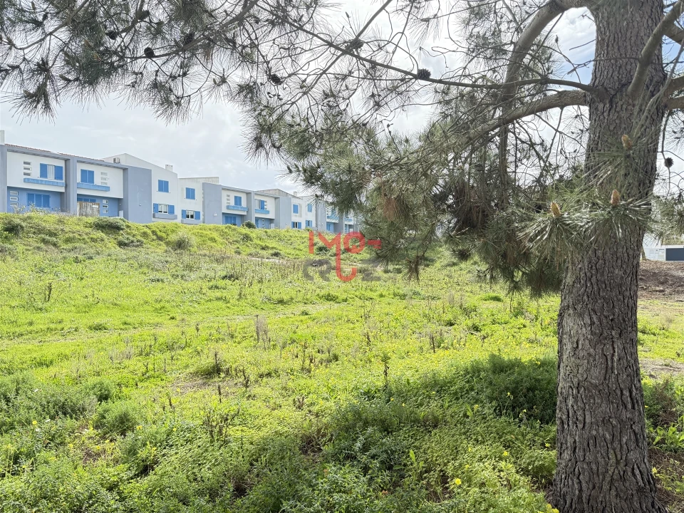 Terreno para Venda em Santa Maria, São Pedro e Matacães Foto 6