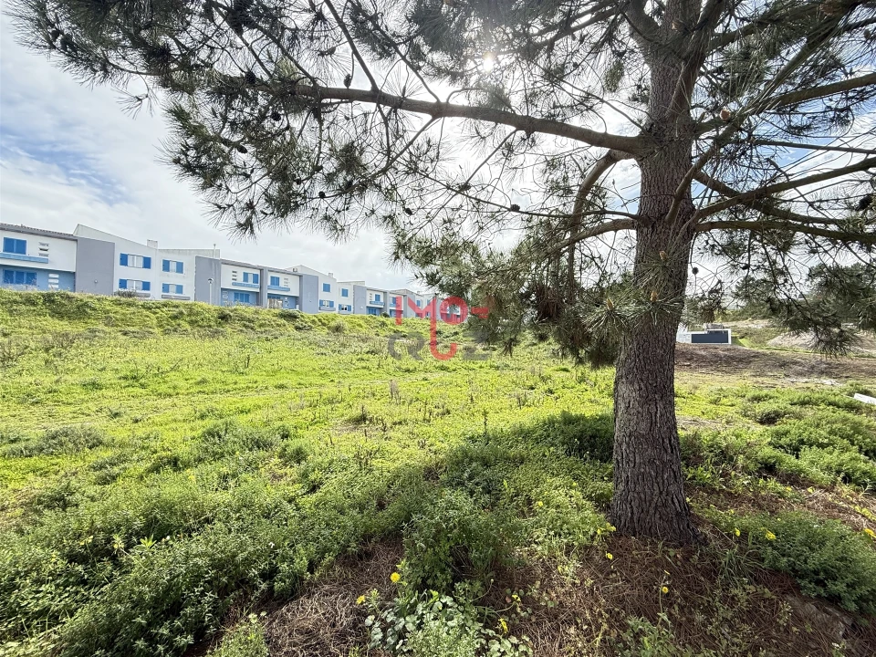 Terreno para Venda em Santa Maria, São Pedro e Matacães Foto 7