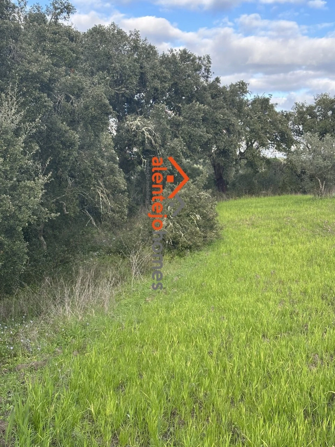 Quinta T3 para Venda em Brotas Foto 5