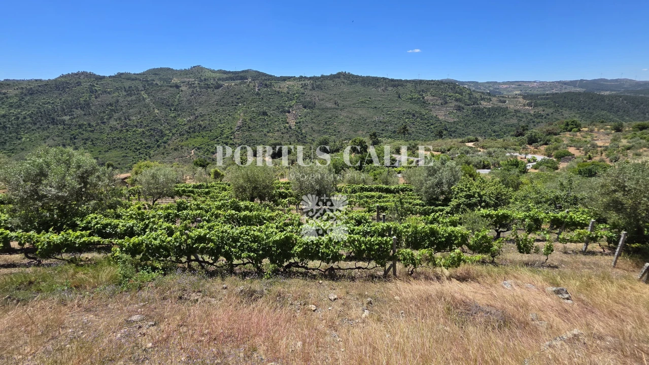 Terreno para Venda em Paradinha e Nagosa Foto 8