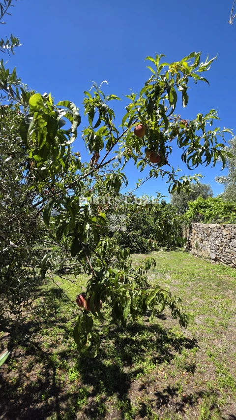 Terreno para Venda em Paradinha e Nagosa