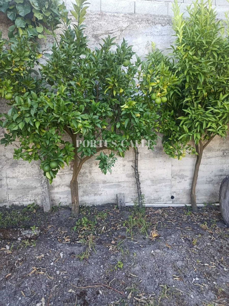 Terreno para Venda em Paradinha e Nagosa Foto 5