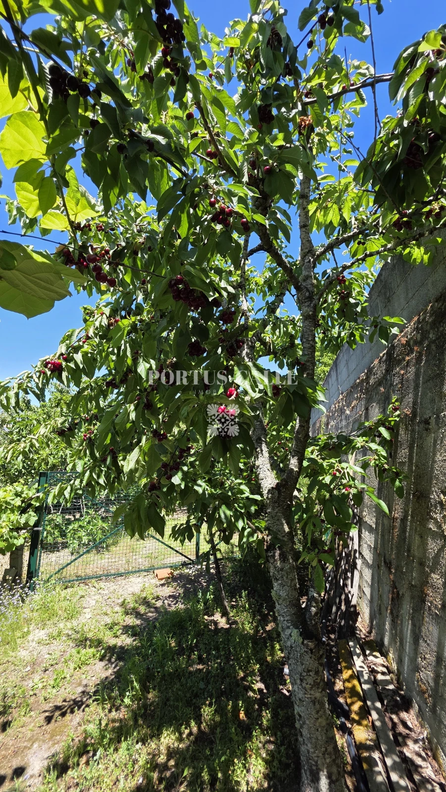 Terreno para Venda em Paradinha e Nagosa Foto 12