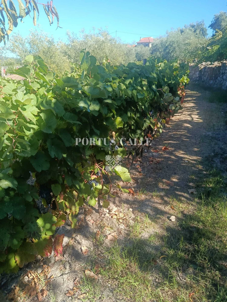 Terreno para Venda em Paradinha e Nagosa Foto 9