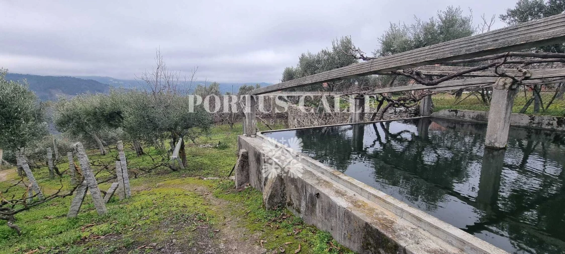 Terreno para Venda em Paradinha e Nagosa Foto 2