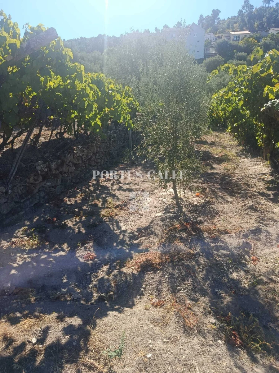 Terreno para Venda em Paradinha e Nagosa Foto 14