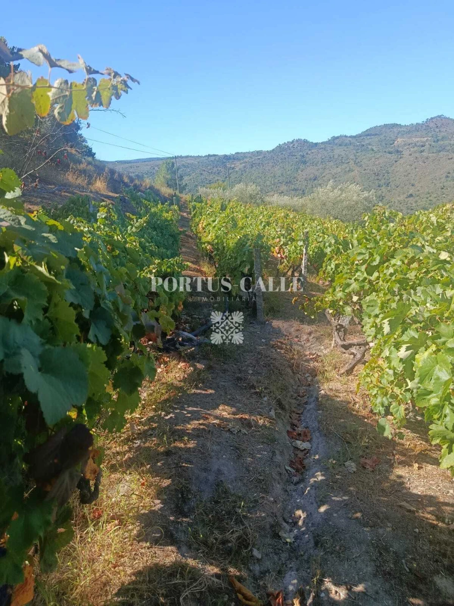 Terreno para Venda em Paradinha e Nagosa Foto 8